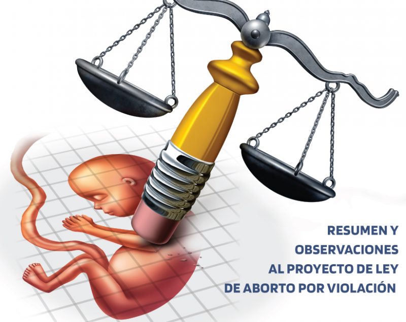 portada-6-resumen-ley-aborto-por-violacion